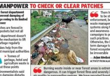 फॉरेस्ट पॅच डंपिंग ग्राउंड बनवतात, पर्यावरण आणि आगीची चिंता वाढवतात