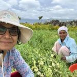 विंडोजिल ते शेत: शहरातील रहिवाशांचा वाढता प्रवास हा ग्रीन सिग्नल आहे