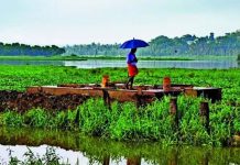 मान्सूनने महाराष्ट्राचे दार ठोठावले आहे, परंतु कोरड्या हवेच्या ड्रॅगने देशांतर्गत कूच करण्याचा धोका आहे