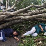 जनता वसाहत येथे वटवृक्ष अंगावर पडल्याने दोन महिला जखमी | पुणे बातम्या