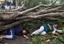 जनता वसाहत येथे वटवृक्ष अंगावर पडल्याने दोन महिला जखमी | पुणे बातम्या